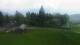 Cordon 08.05.2025 12:18