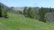Cordon 29.04.2025 12:19