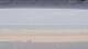 Henne Strand 08.07.2025 12:15