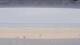 Henne Strand 11.07.2025 12:15