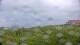 Zuydcoote 03.06.2025 12:19