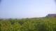 Zuydcoote 15.06.2025 12:19