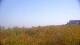 Zuydcoote 30.04.2025 12:19
