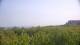 Zuydcoote 14.06.2025 12:19
