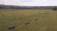 Großbreitenbach 29.04.2025 12:19