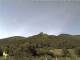 Neustadt-Hambach 29.04.2025 12:45