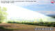 Hochwolkersdorf 11.05.2025 12:03