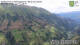 Hopfgarten im Defereggental 09.07.2025 12:11