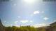 Zwickau 09.05.2025 12:21
