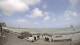 Veulettes-sur-Mer 15.06.2025 12:04