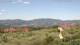 Pietrapiana 09.07.2025 12:21