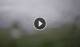 Syðrugøta 30.06.2025 12:22