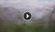 Syðrugøta 14.06.2025 12:22