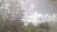 Roanoke, Virginia 18.04.2025 12:23