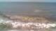 Carro 09.06.2025 12:23