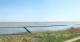 Nebel (Amrum) 30.04.2025 12:23