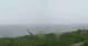 Nebel (Amrum) 08.06.2025 12:23