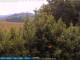 Bolonia 09.06.2025 12:25