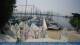 Breitbrunn am Chiemsee 08.06.2025 12:25