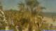 San Benedetto del Tronto 30.04.2025 12:25
