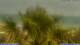 San Benedetto del Tronto 09.06.2025 12:25
