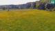 Medvode 30.04.2025 12:26