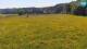 Medvode 11.05.2025 12:26