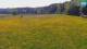 Medvode 29.04.2025 12:26