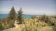 Flatts Village 30.04.2025 12:26