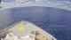 Norwegian Joy 22.11.2024 12:29