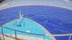 Norwegian Sun 14.07.2025 12:31