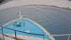 Norwegian Sun 09.05.2025 12:27