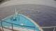 Norwegian Sun 11.05.2025 12:27