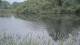 Les Landes-Genusson 12.05.2025 12:28