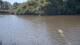 Les Landes-Genusson 12.07.2025 12:27