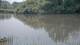 Les Landes-Genusson 09.06.2025 12:28