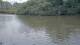 Les Landes-Genusson 14.07.2025 12:32