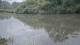 Les Landes-Genusson 11.06.2025 12:28