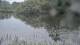 Les Landes-Genusson 29.04.2025 12:28