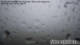 Stuben 08.06.2025 12:29