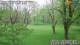 Husum 30.04.2025 12:30