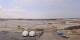 Plouguerneau 09.06.2025 12:28