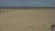 Dunkirk 22.06.2025 12:28