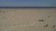 Dunkirk 10.05.2025 12:28