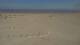 Dunkirk 11.05.2025 12:28