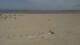Dunkerque 29.04.2025 12:28