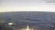 AIDAcosma 08.07.2025 12:28