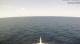 AIDAcosma 25.04.2025 12:29