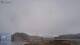 Nanortalik 13.05.2025 12:29