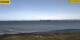 Gold auf Fehmarn 10.05.2025 12:29